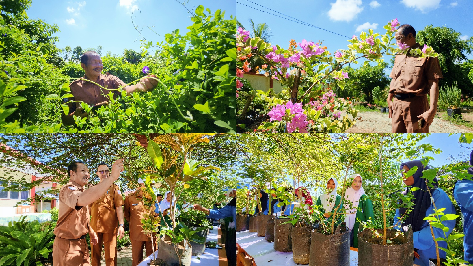 SMK PPN Gorontalo: Pusat Koleksi Tanaman, Pembibitan, dan Wisata Edukasi yang Menjadi Kebanggaan Daerah