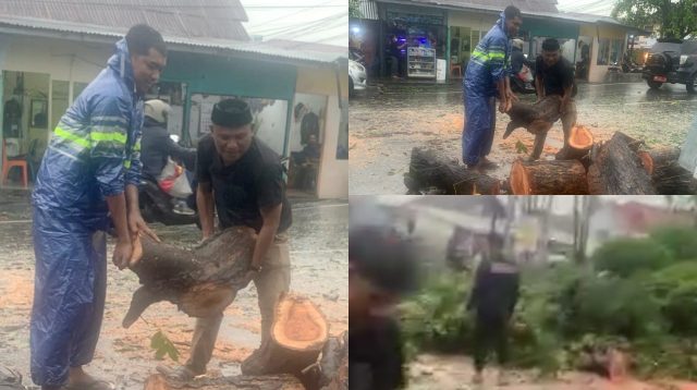 Dua Lurah Kompak Evakuasi Pohon Tumbang di Tengah Hujan Deras Kota Gorontalo