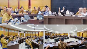 Meyke Camaru Pertanyakan Ruang Banggar: Apakah Tak Ada Anggaran atau Memang Tak Bisa?