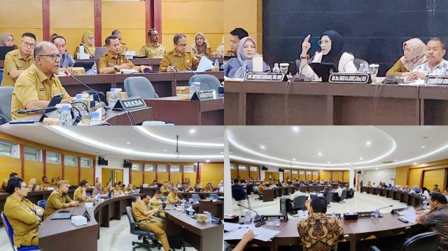 Meyke Camaru Pertanyakan Ruang Banggar: Apakah Tak Ada Anggaran atau Memang Tak Bisa?
