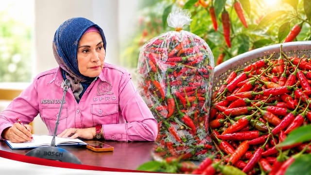 Musim Kemarau Tekan Ekonomi Warga, Indriani Dunda Bagikan Cabe Rawit